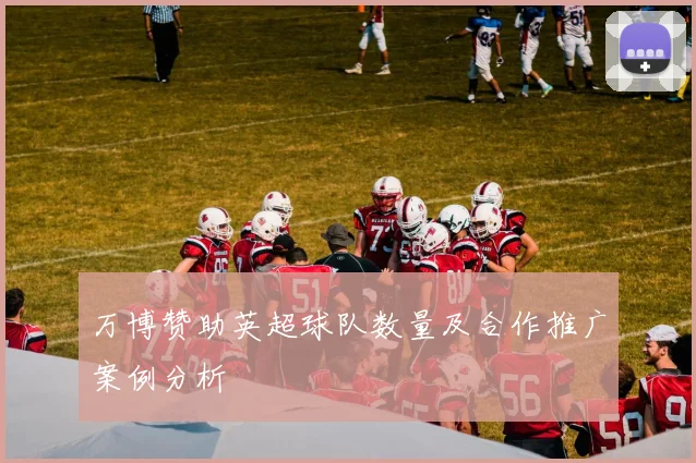 万博赞助英超球队数量及合作推广案例分析