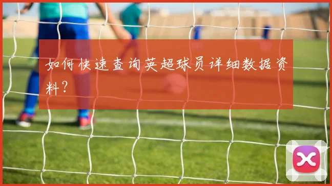 如何快速查询英超球员详细数据资料？