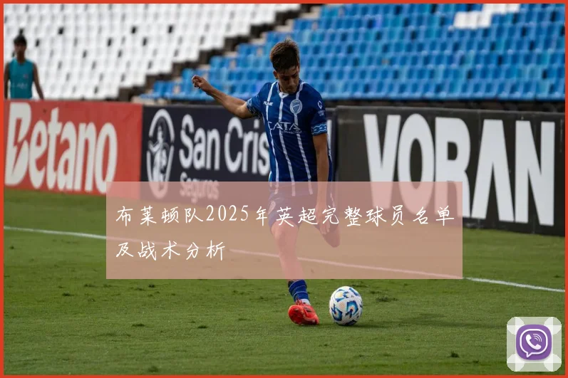 布莱顿队2025年英超完整球员名单及战术分析