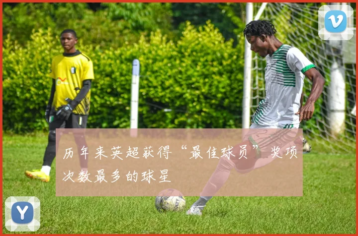 历年来英超获得“最佳球员”奖项次数最多的球星